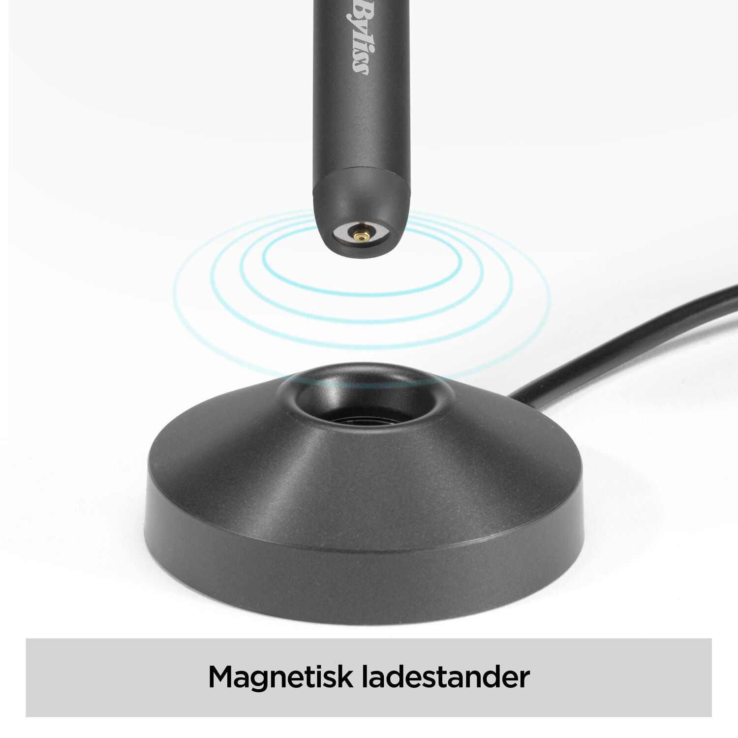 Magneettinen lataus